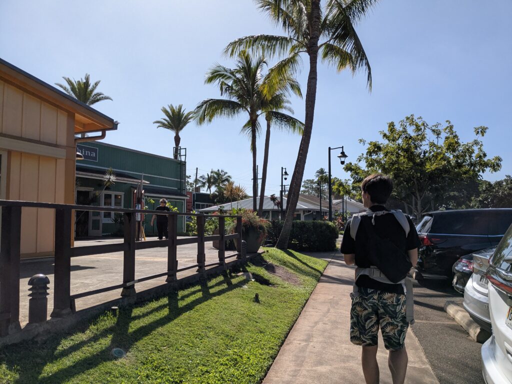 レンタカー　ノースショア　日帰り